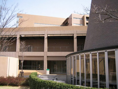 外国语大学校景