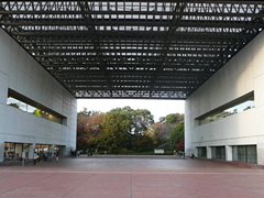 中央大学实景