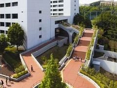 中央大学实景