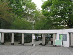 美丽的城西大学