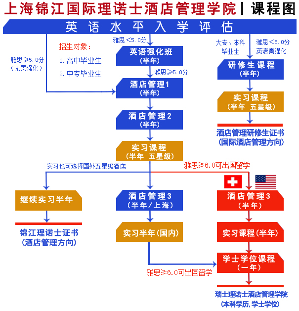 国际本科流程图
